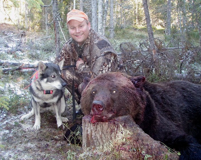 Kajs Vita björnens Mattis "Bamse" vid lyckad Björnjakt.