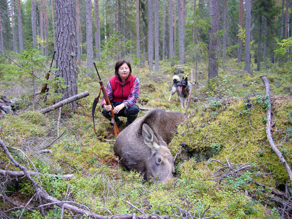 Kviga skjuten på ståndskall av Isa Lundström, Umeå, ett skott, hennes första jaktdag efter nytagen jägarexamen, för Hornsmyrans Lukas.